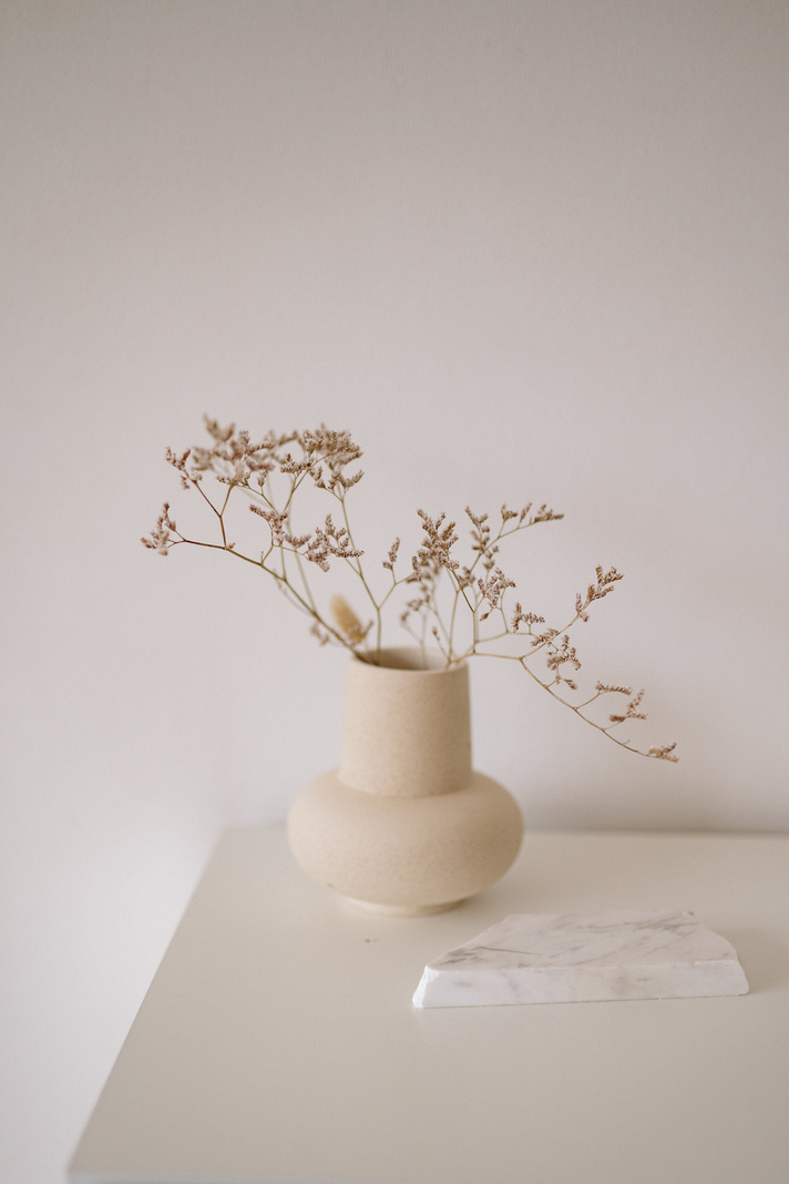 Dried Flowers in a Ceramic Vase